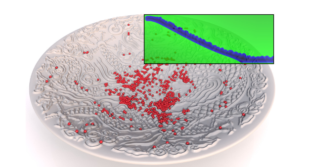 An hp-adaptive Discretization Algorithm for Signed Distance Field Generation